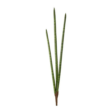 040408040156
