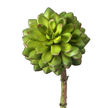040408040171