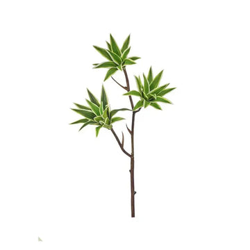 040408060118