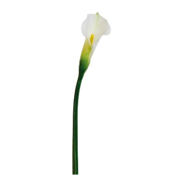 040409020540