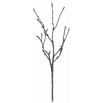 040409040179