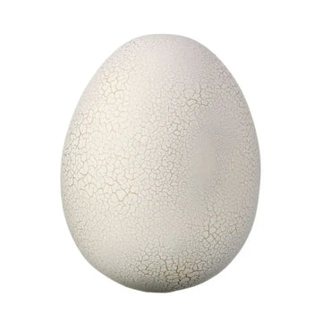 080402010152
