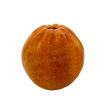 090402040002