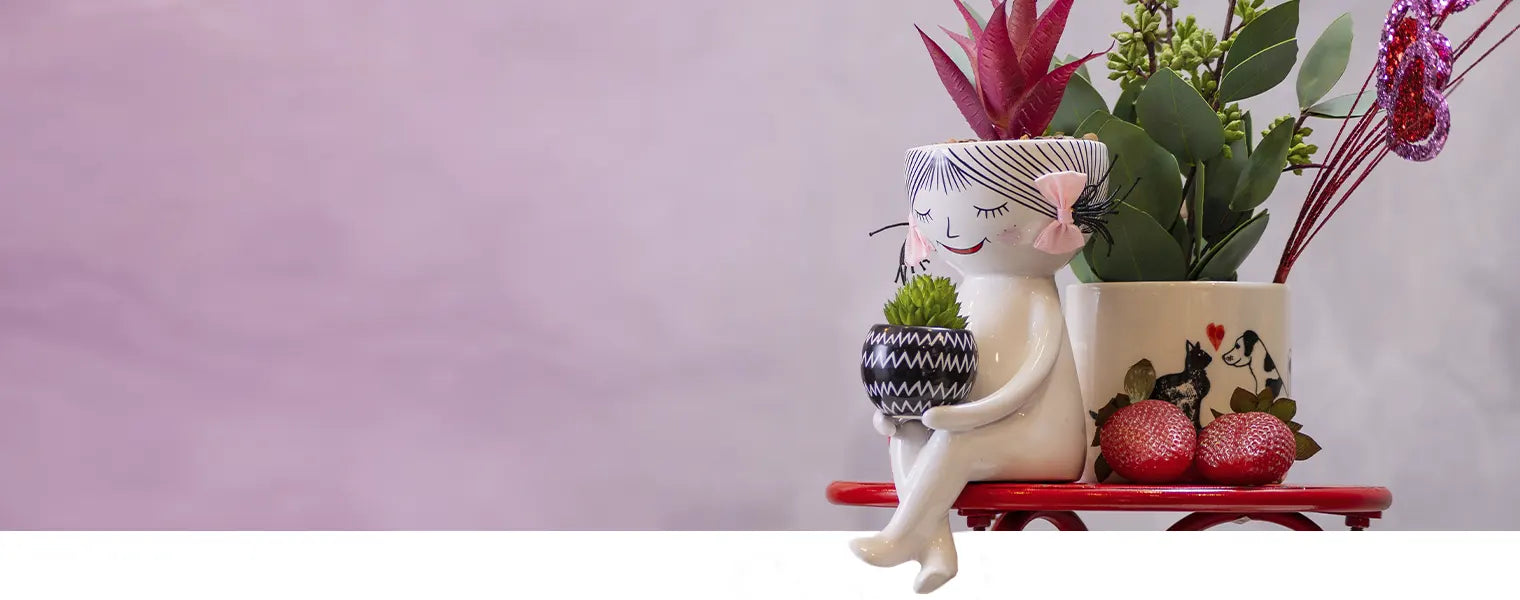 collection-banner-image