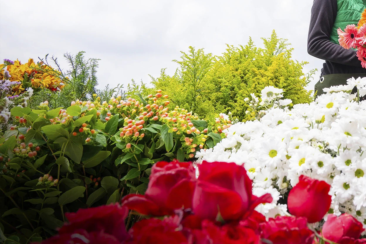 Floristeria