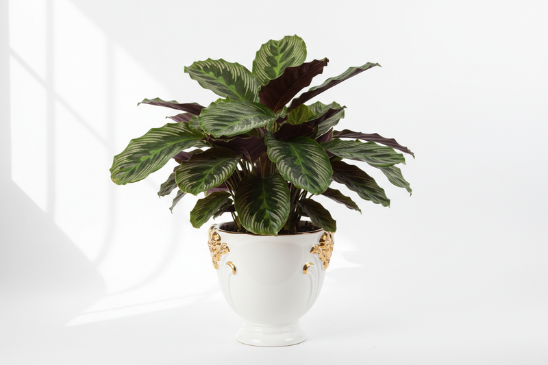 Plantas Artificiales