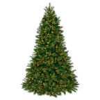 10404020014