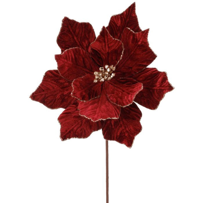 Poinsettia Terciopelo
