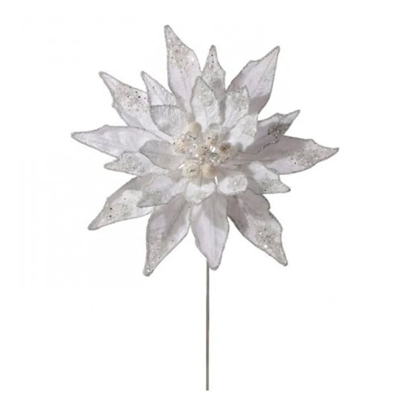 Poinsettia Brillante