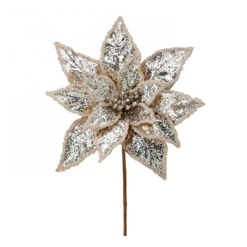 Poinsettia Brillante