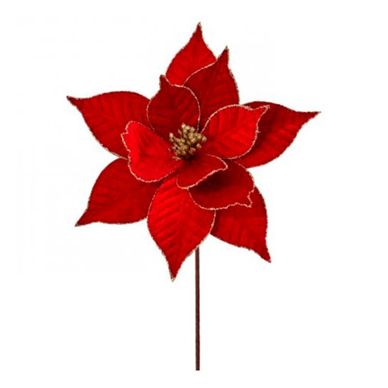 Poinsettia Velvet