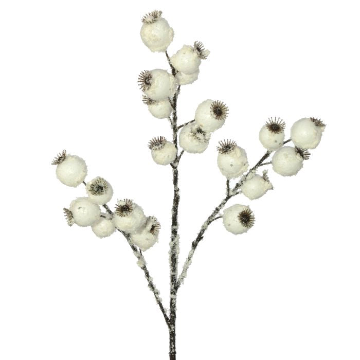 Follaje Cherry Congelado