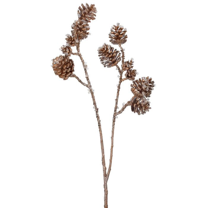 Piñas Champagne 74 Cm