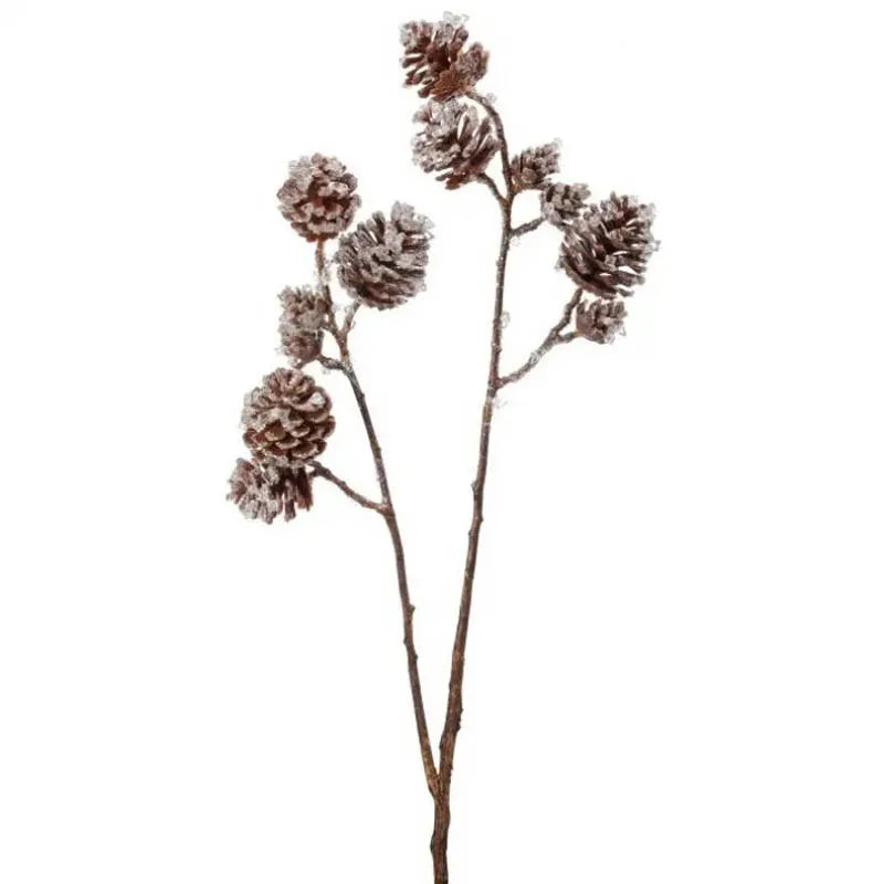 Piñas Champagne 74 Cm