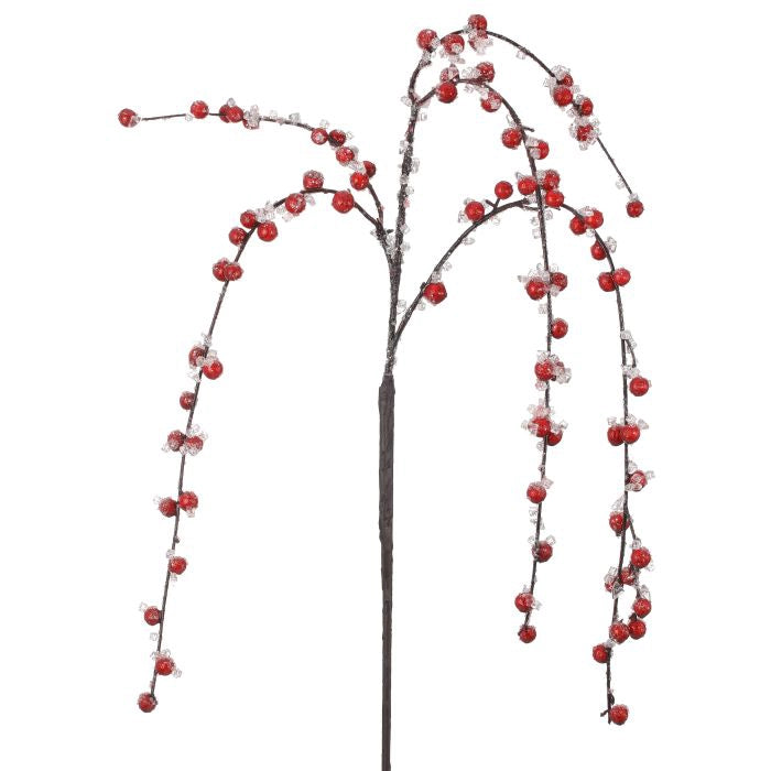 Cherrys  Dorado 94 Cm