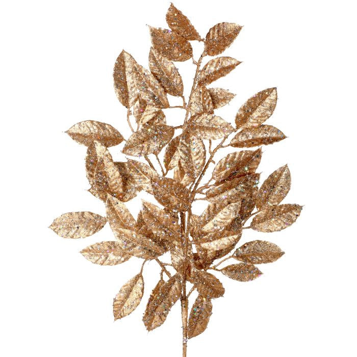 Follaje Hojas Brillantes