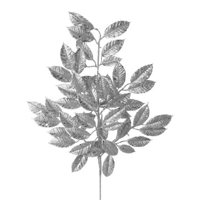 Follaje Hojas Brillantes