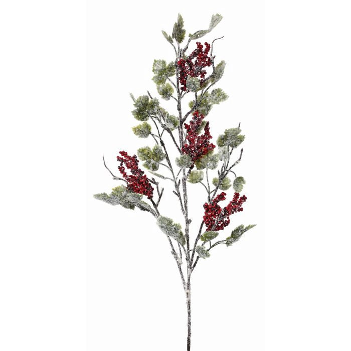 Follaje Berry Helada