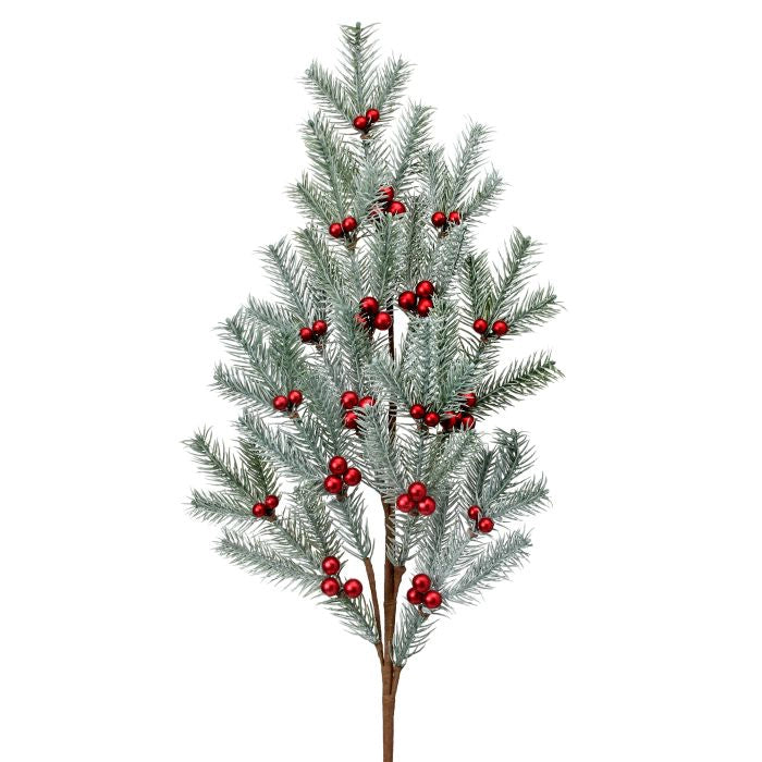 Follaje  Abeto Cherry