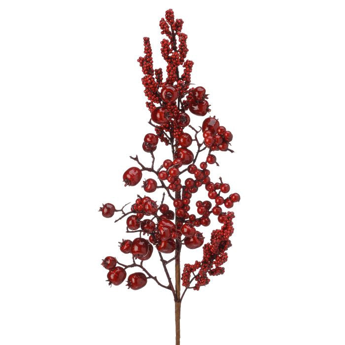 Follaje Frutos Rojos