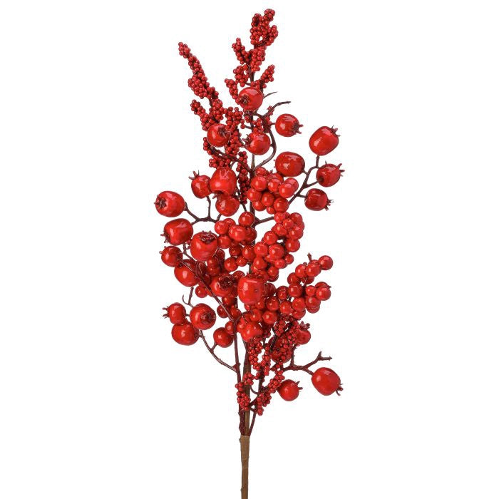 Follaje Frutos Rojos