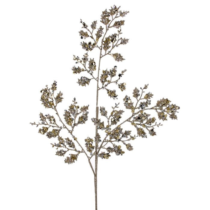 Follaje Hojas Brillantes