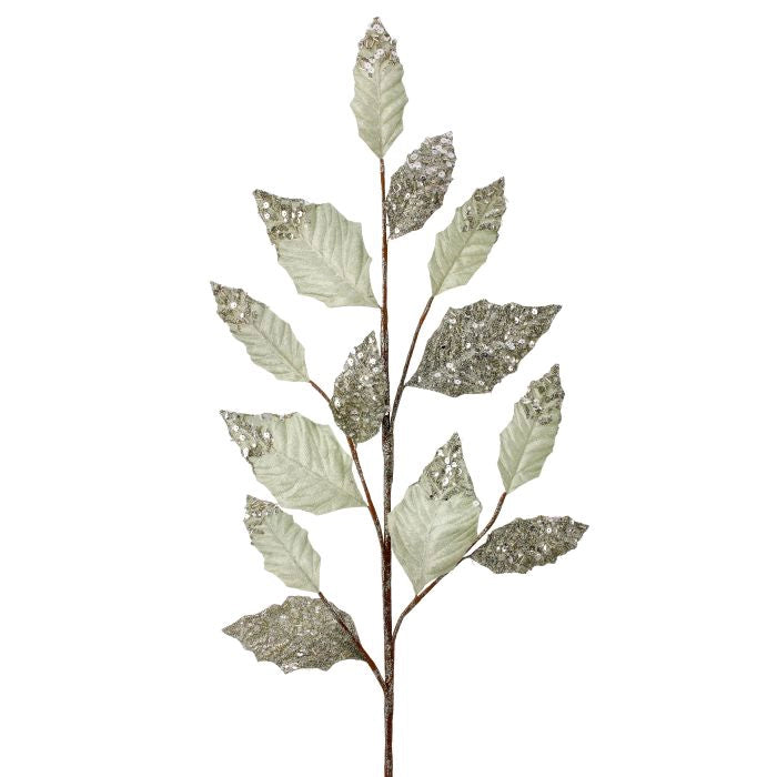 Follaje Hojas Bright