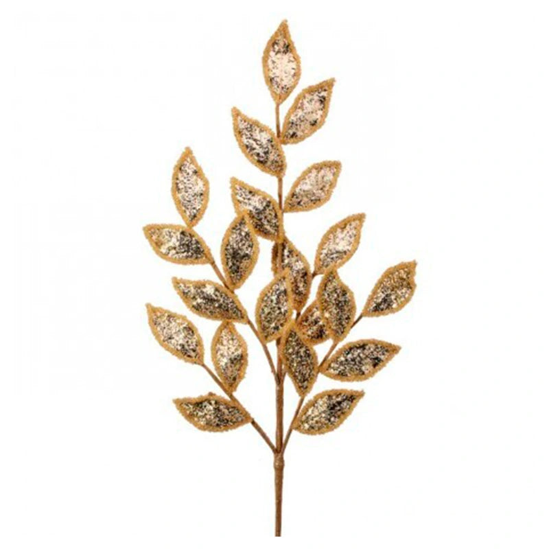 Hojas Laurel Brillantes