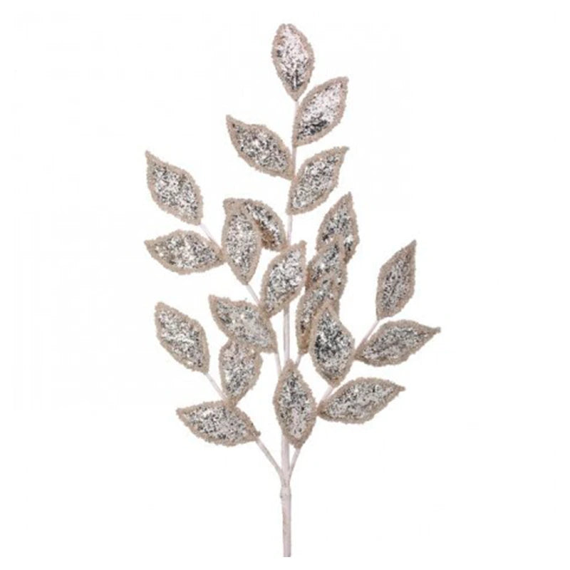 Hojas Laurel Brillantes