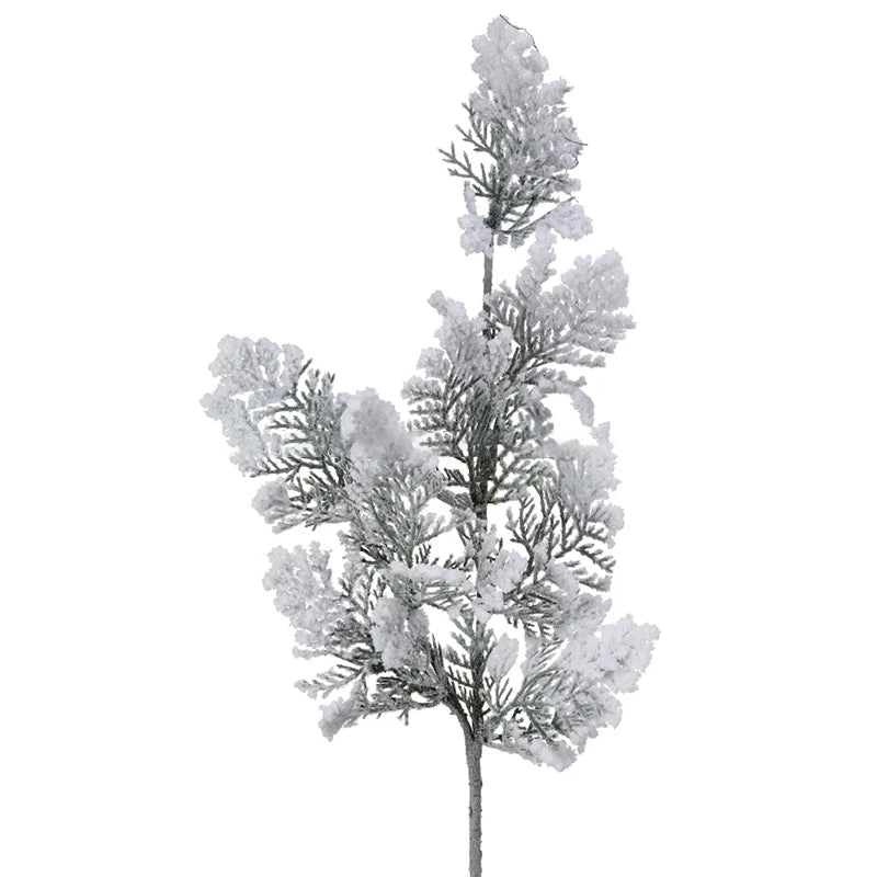 Follaje Cedro Nevado