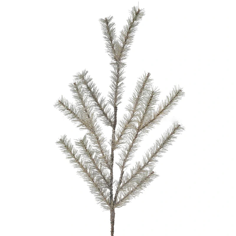 Follaje Pino Brilante