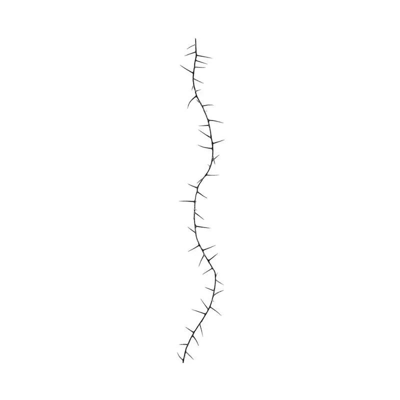 20423040009