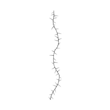 020423040009
