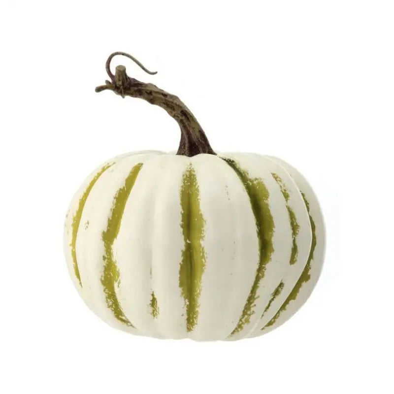 030402010019
