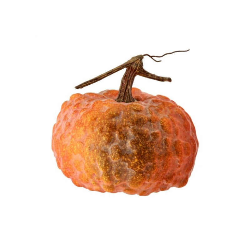 030402010063