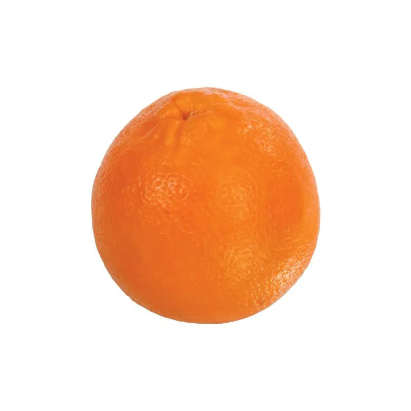 040402010294