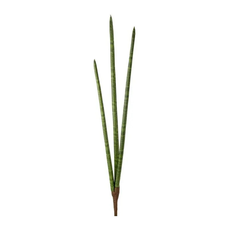 040408040156