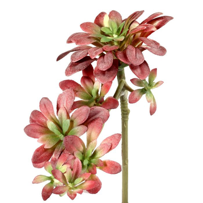 040408040165