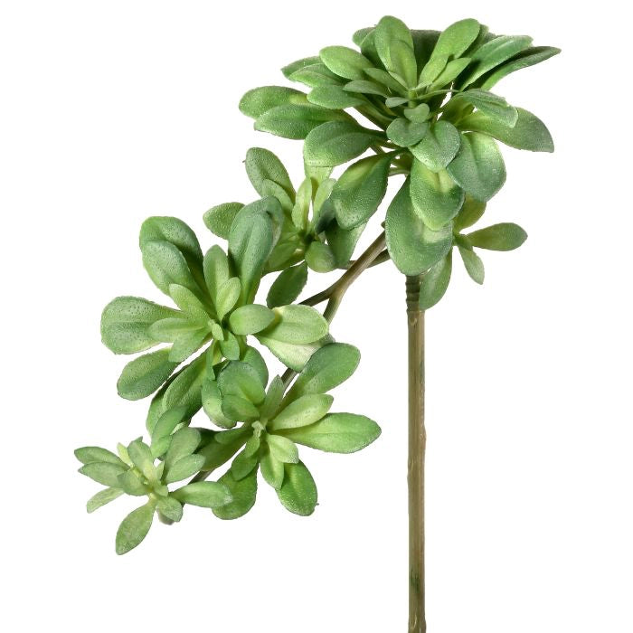 040408040165