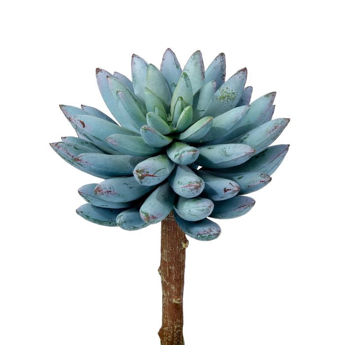 040408040168