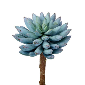 040408040168