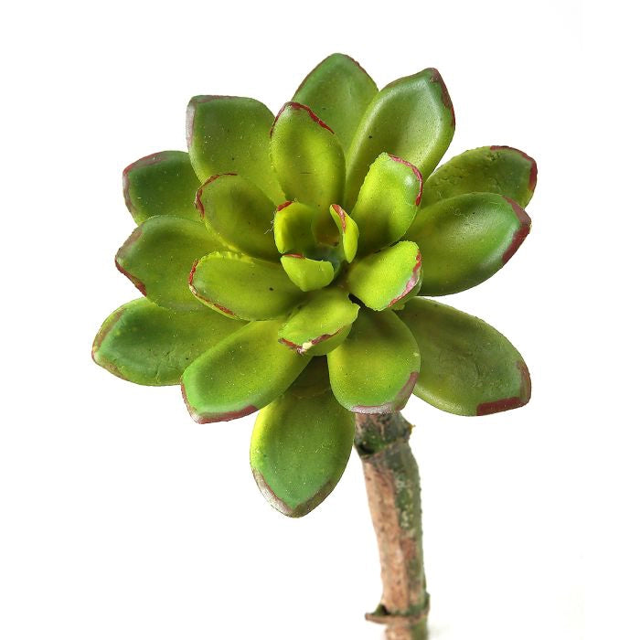 040408040170