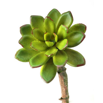 040408040170