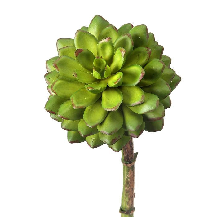 040408040171