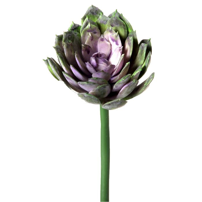 040408040172