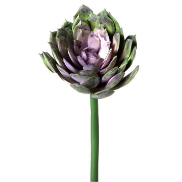 040408040172