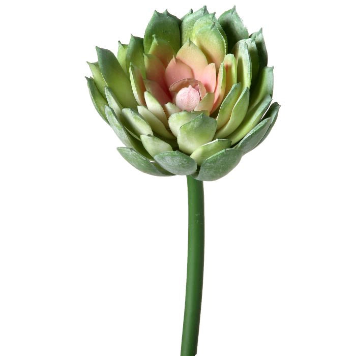 040408040172