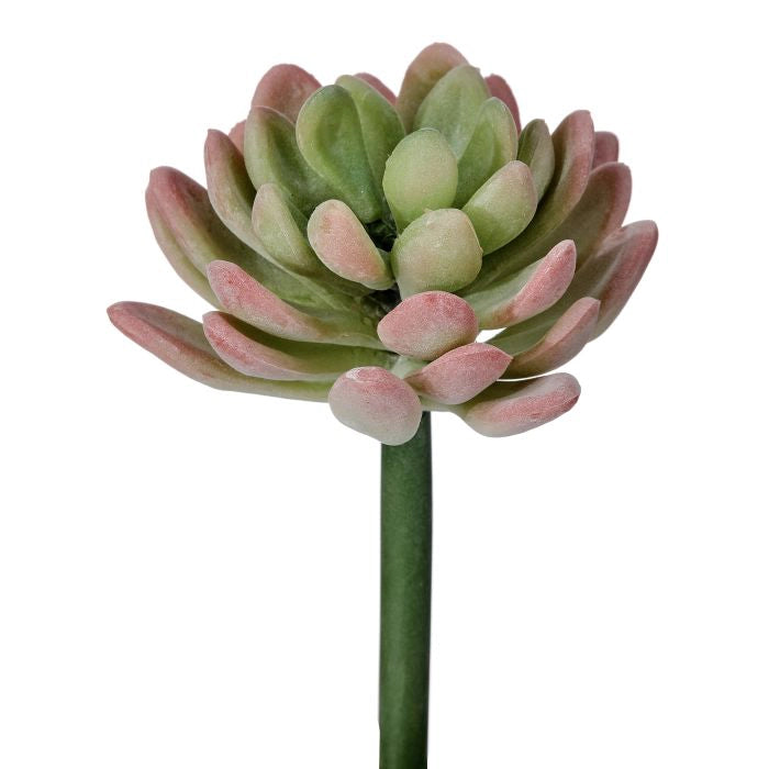 040408040190