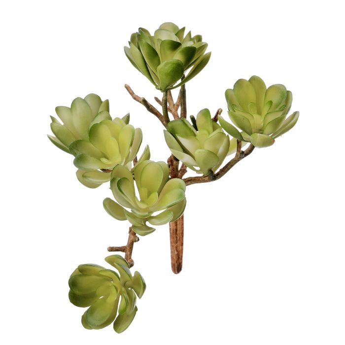 040408040196