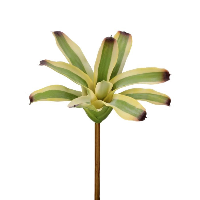040408040197